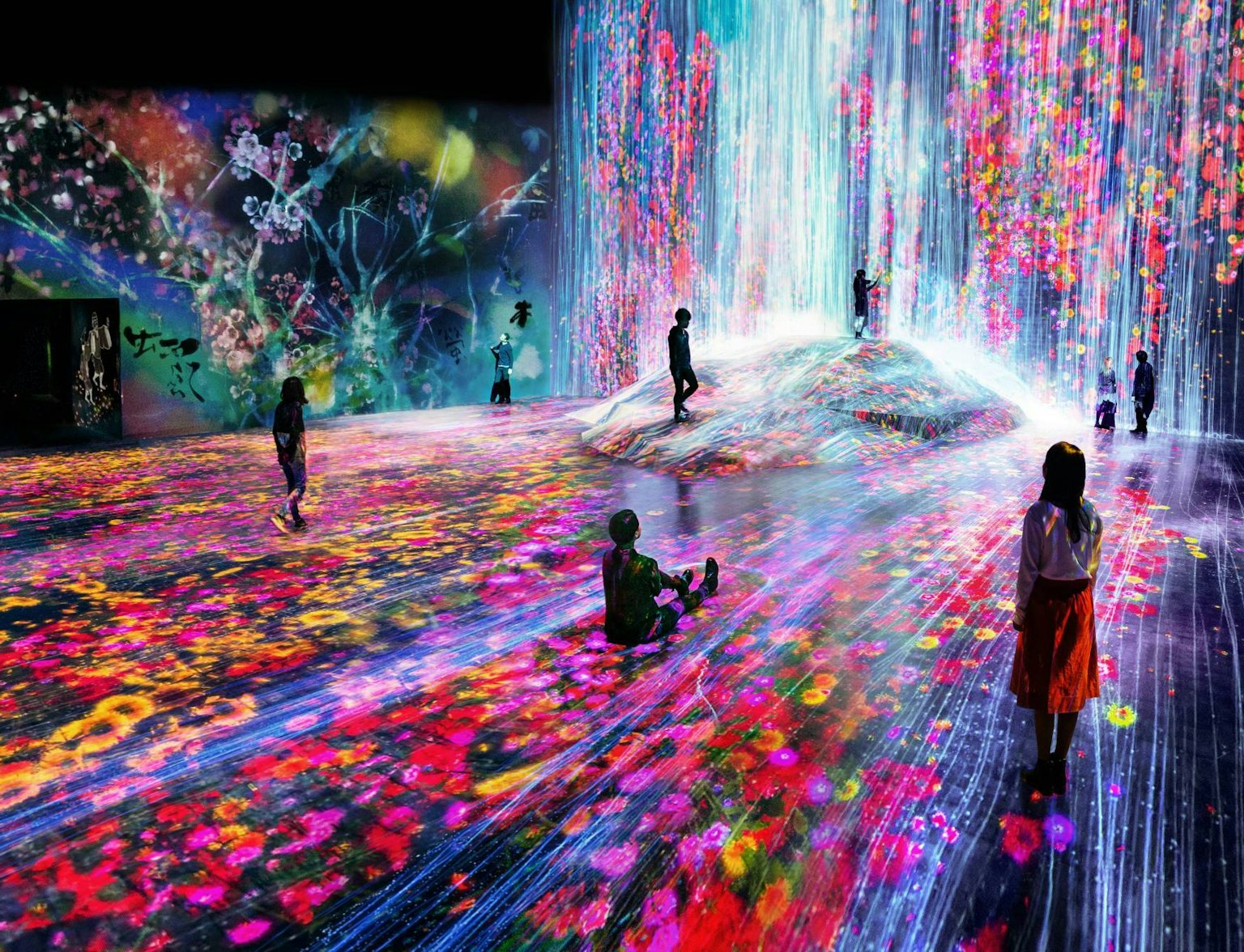 teamLab Borderless teamLab Borderless