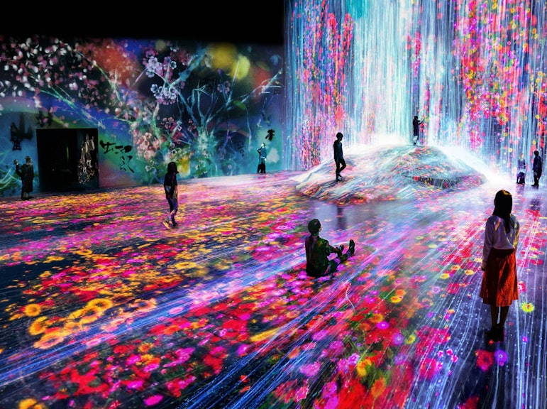 Exploring the Infinite: A Journey Through teamLab Borderless