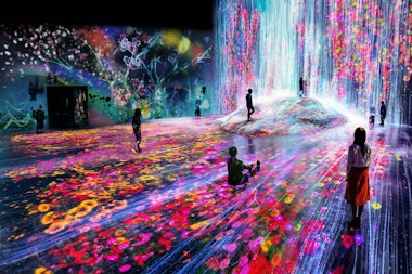 teamLab Borderless