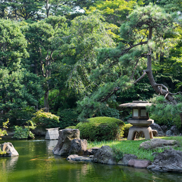 Beautiful Kyoto Gardens
