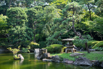 A tranquil Japanese garden features a serene pond surrounded by lush greenery, trees, and shrubs. Large rocks are artistically placed around the pond, with a traditional stone lantern and a small wooden bridge adding to the serene atmosphere.