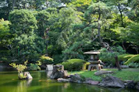 A tranquil Japanese garden features a serene pond surrounded by lush greenery, trees, and shrubs. Large rocks are artistically placed around the pond, with a traditional stone lantern and a small wooden bridge adding to the serene atmosphere.