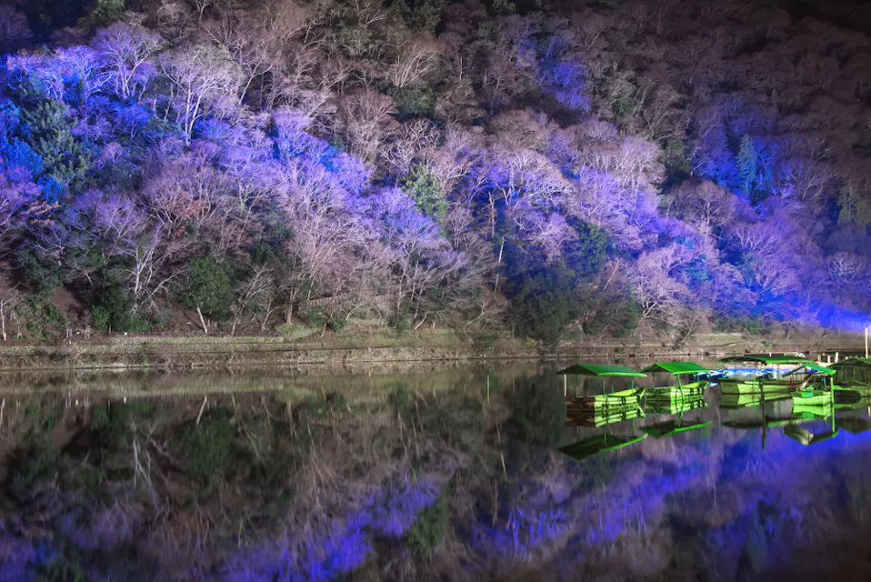 A serene riverside scene at night, with bare trees illuminated by ethereal blue and purple lights. Their reflections create a mirrored effect on the calm water. A few small green boats are docked on the right side of the riverbank.