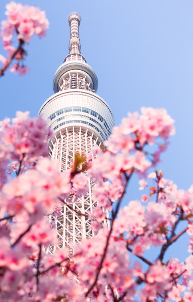 Tokyo Skytree Tokyo Skytree