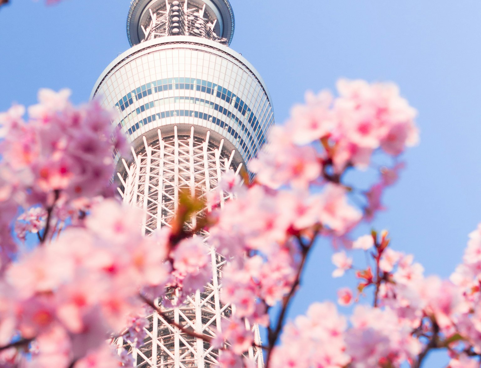 Tokyo Skytree Tokyo Skytree