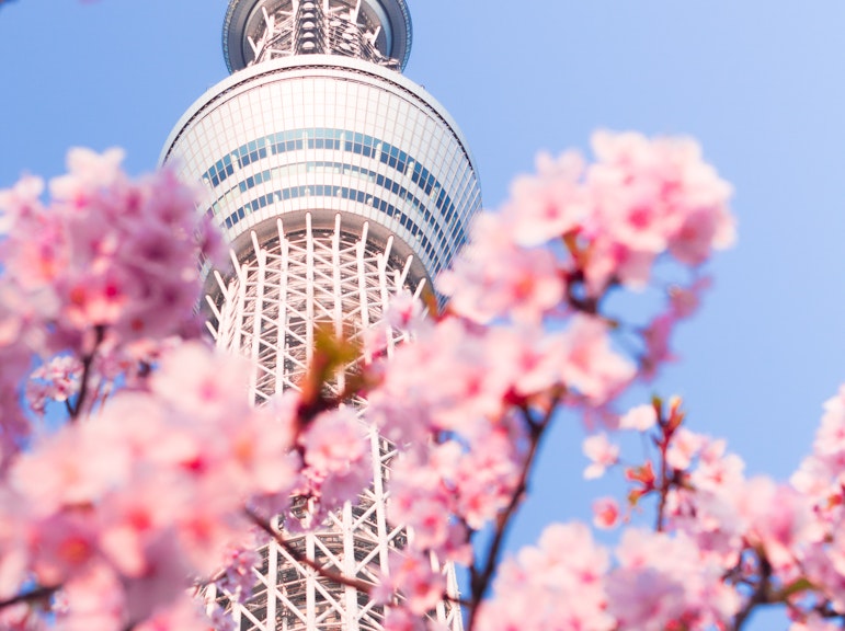 Tokyo Exploration: Skytree Deck + KEIKYU Hanetoku & 24-Hour Subway Combo Ticket