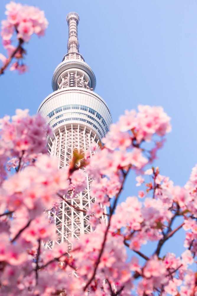 Tokyo Skytree