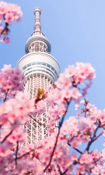 Tokyo Skytree Tokyo Skytree