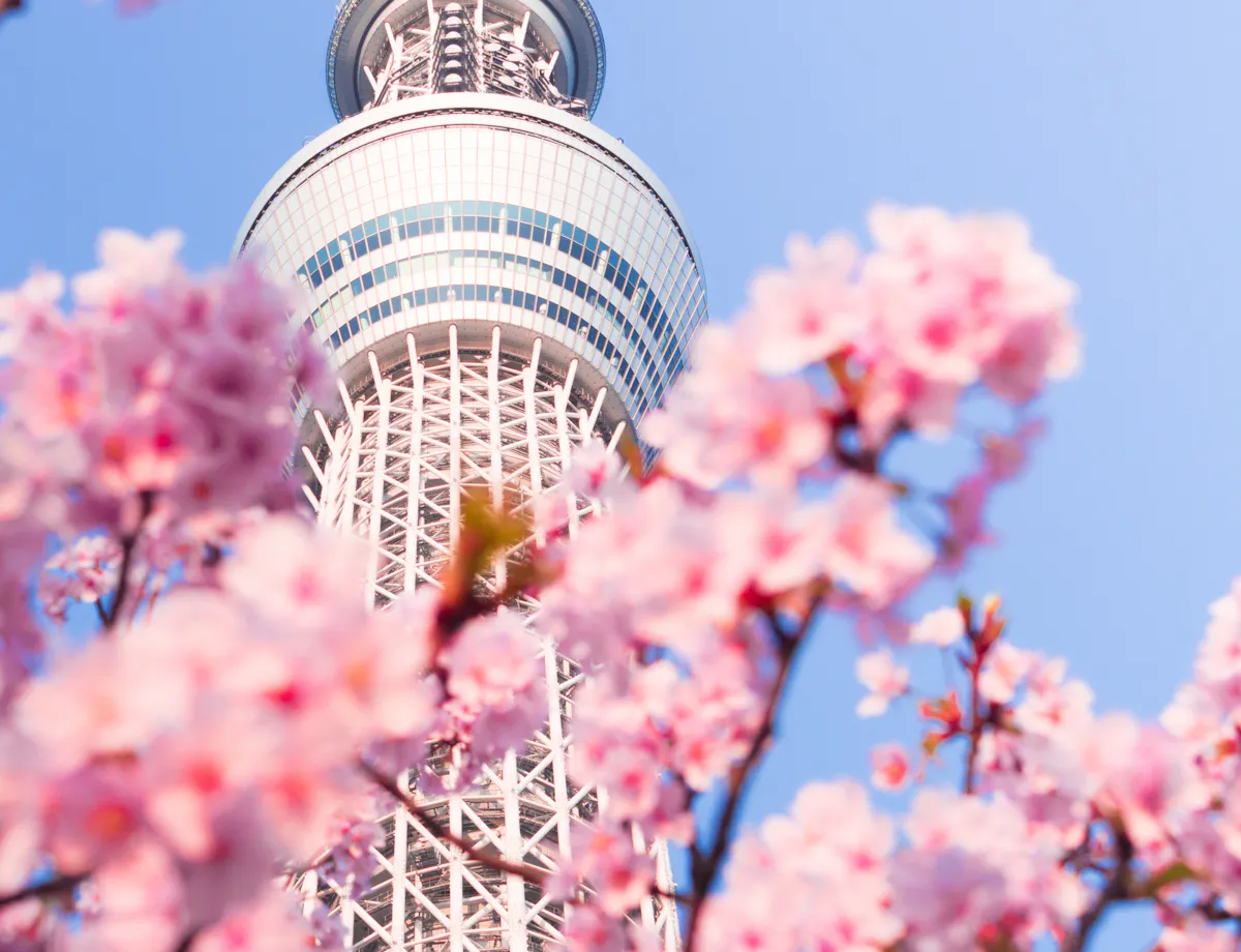 Tokyo Skytree Tokyo Skytree