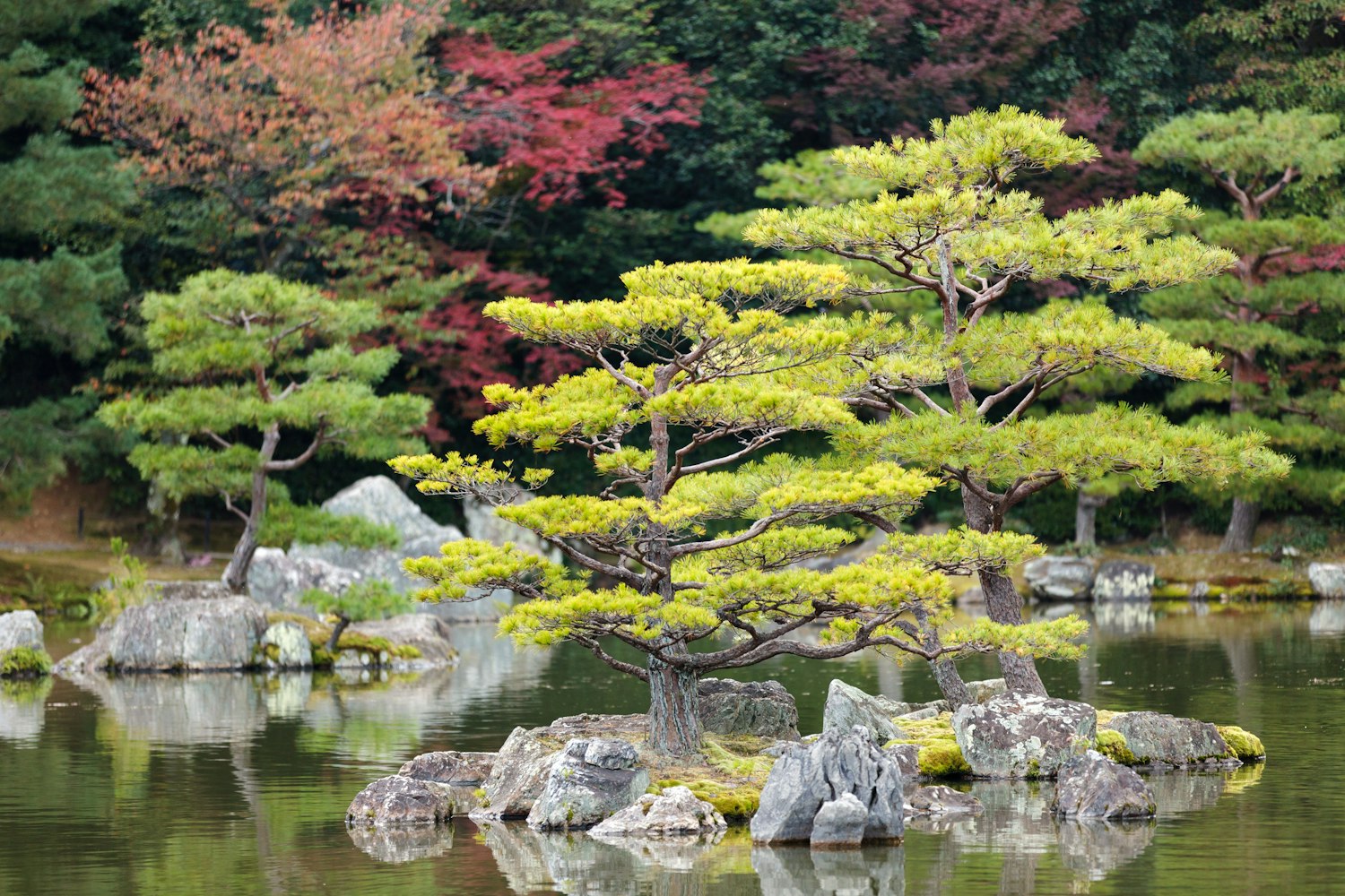 Kinkakuji Zen Garden