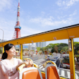 Tokyo Panorama Bus Tour: Open-Air City Views