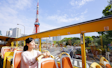 Tokyo Panorama Bus Tour: Open-Air City Views
