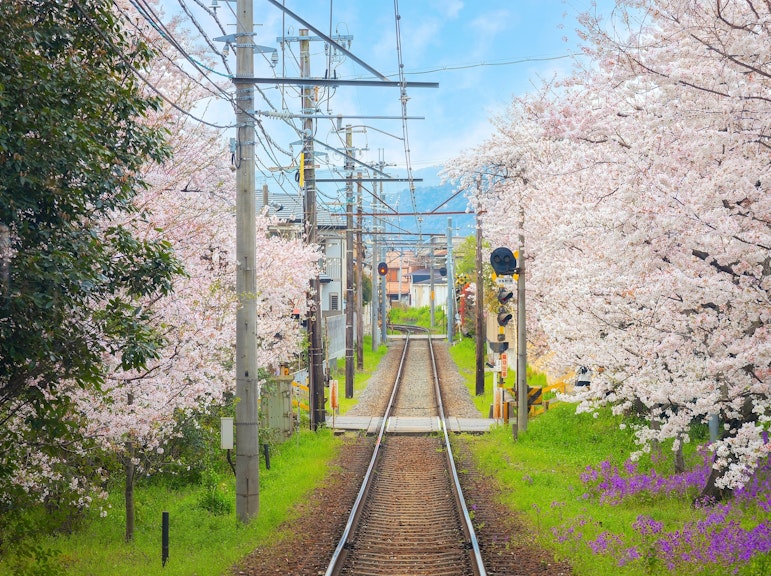 Randen 1-Day Ticket with Complimentary Stamp Book