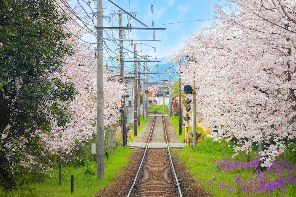 Randen Railway Path