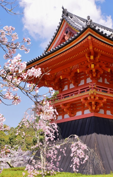 Ninnaji Temple Ninnaji Temple