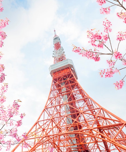 도쿄 스카이 홉 버스 데이 패스