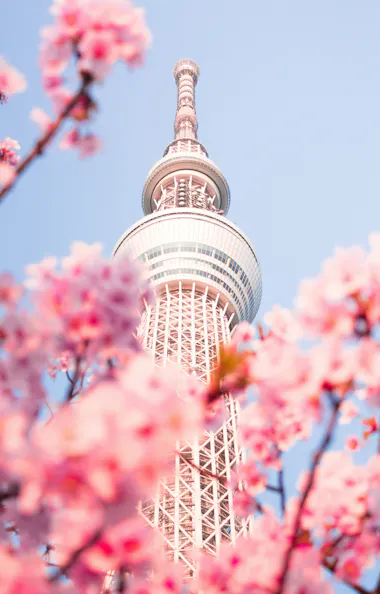 Tokyo Skytree Tokyo Skytree