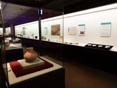 A museum exhibit displays ancient pottery and artifacts in glass cases, with informational plaques and various objects showcased on shelves along the well-lit walls.