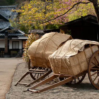 Edo Wonderland Edo Wonderland