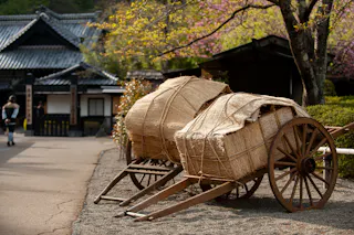 Two traditional wooden carts with large woven straw coverings are parked on a gravel path near a tree, with a Japanese-style building and blooming plants in the background.
