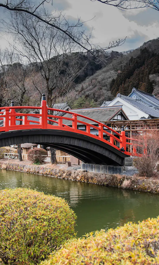 Edo Wonderland Edo Wonderland