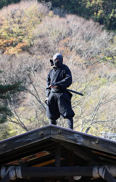 Edo Wonderland Edo Wonderland