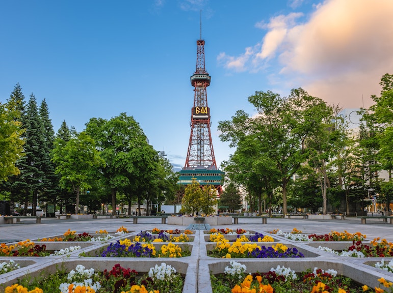 Private Sapporo Walking Tour with Local Guide