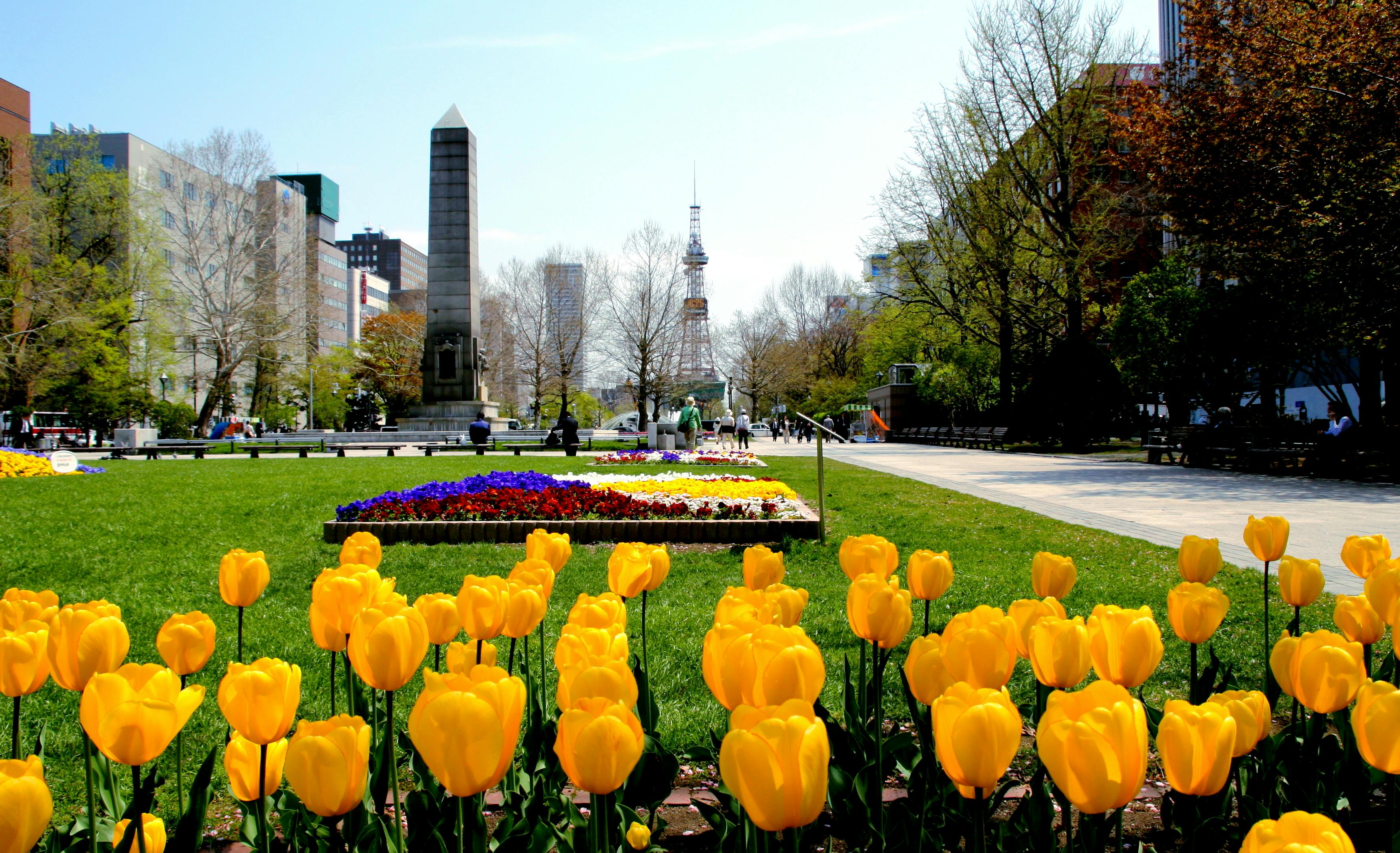 A vibrant park with bright yellow tulips in the foreground, colorful flowerbeds, a tall monument, trees, and city buildings in the background under a clear sky.