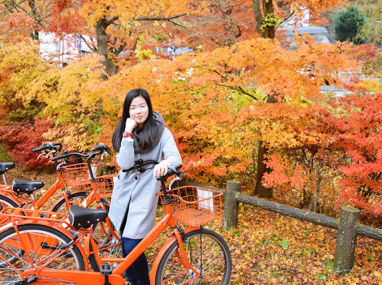 京都の過去:歴史的名所と世界遺産の禅寺を巡るサイクリングツアー