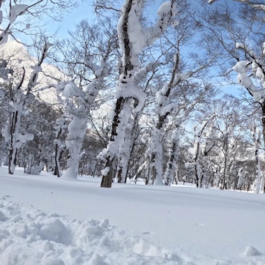 Orofure Pass Orofure Pass