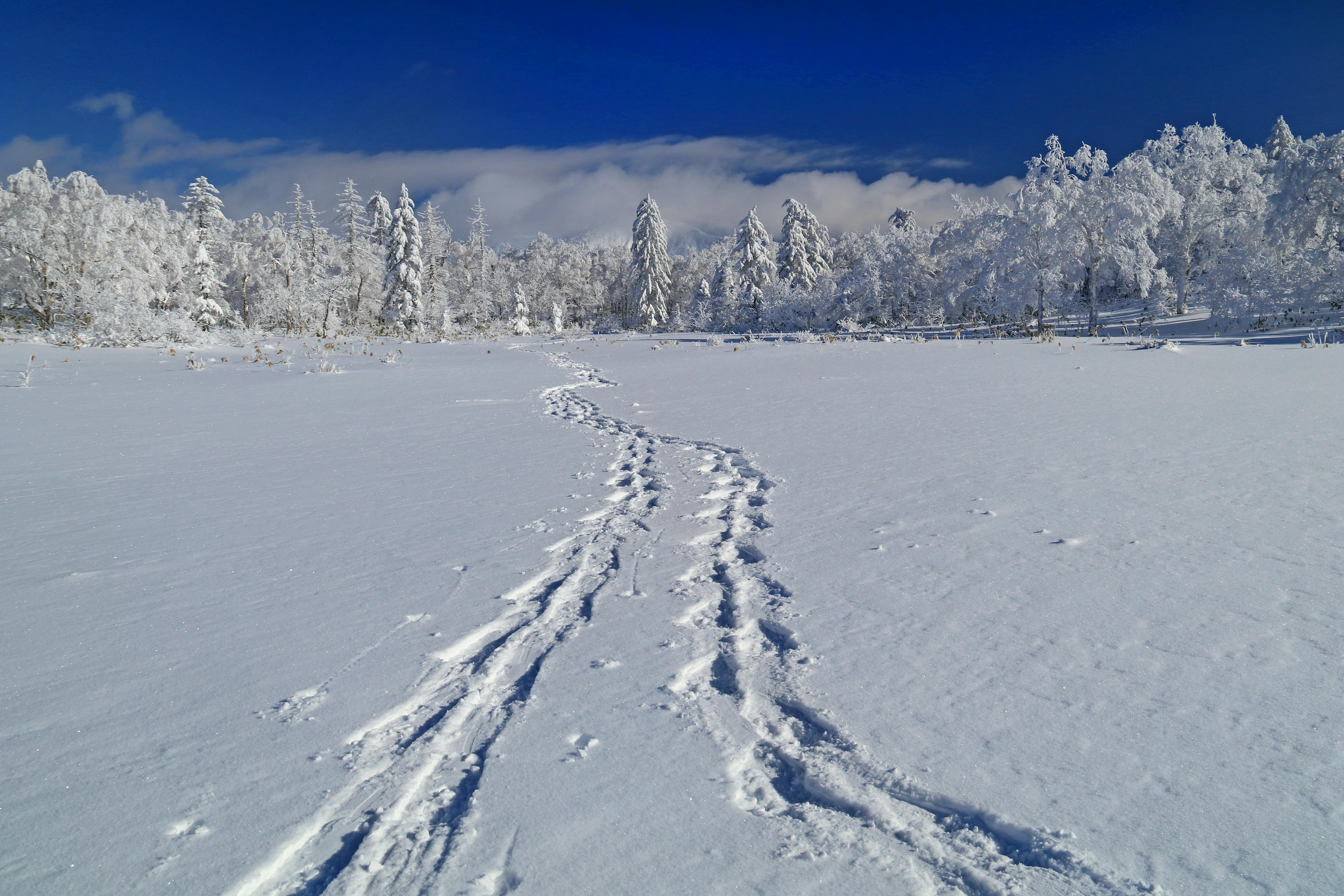 Orofure Pass