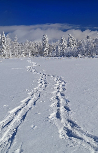 Orofure Pass Orofure Pass