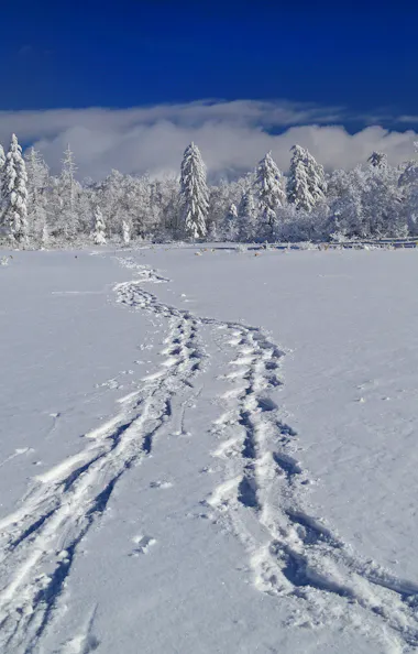 Orofure Pass Orofure Pass