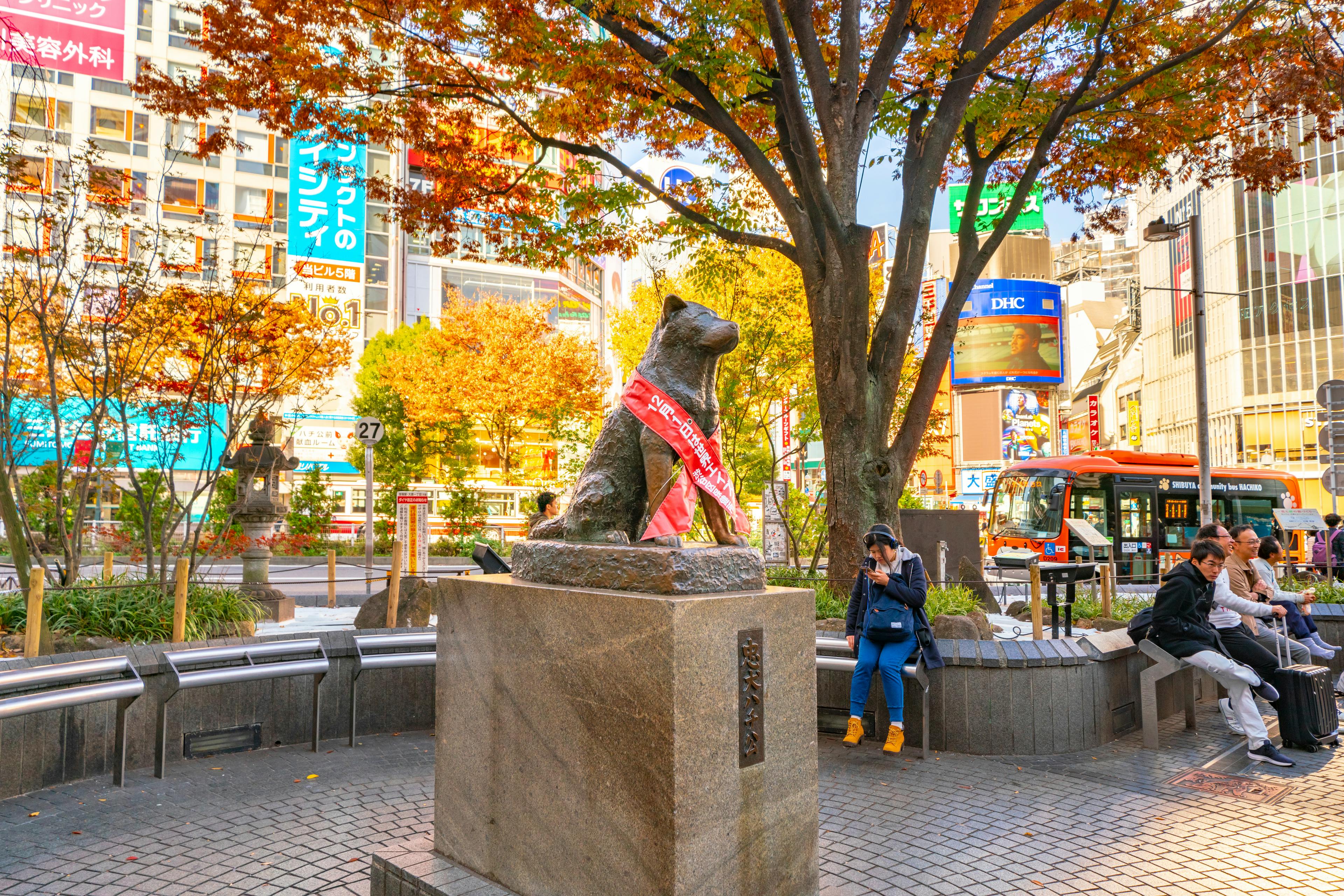 A bronze statue of Hachiko the dog with a red sash stands on a stone pedestal in a city plaza, surrounded by autumn trees, people sitting, and colorful billboards in Shibuya, Tokyo.