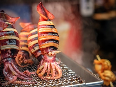 Squid Osaka Street Food