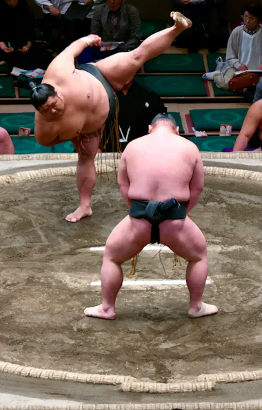 Grand Sumo Tournament Grand Sumo Tournament