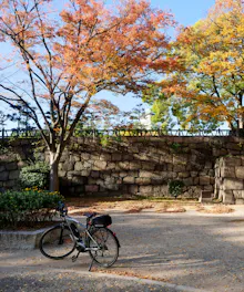 Osaka Castle Park Cycling A bicycle is parked on a sunlit path covered with fallen leaves. Trees with orange and yellow autumn foliage stand in front of a large stone wall under a clear blue sky.