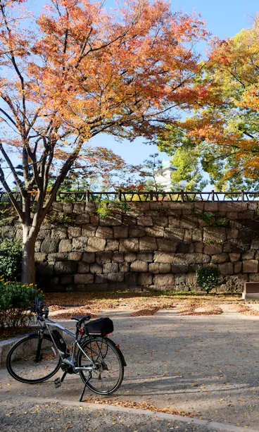 Osaka Castle Park Cycling A bicycle is parked on a sunlit path covered with fallen leaves. Trees with orange and yellow autumn foliage stand in front of a large stone wall under a clear blue sky.