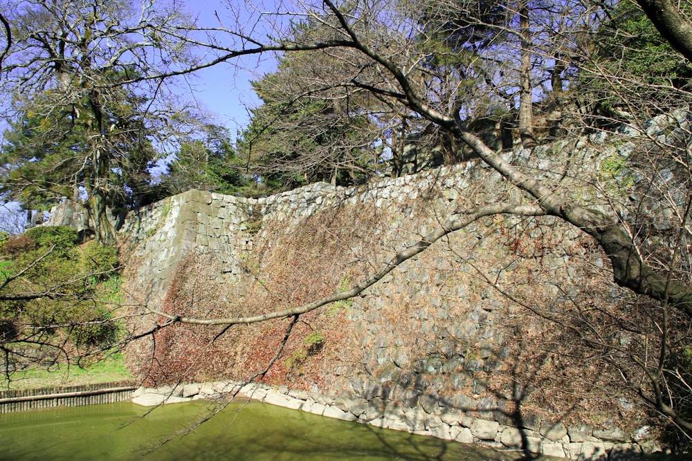Fukuoka Castle Remains