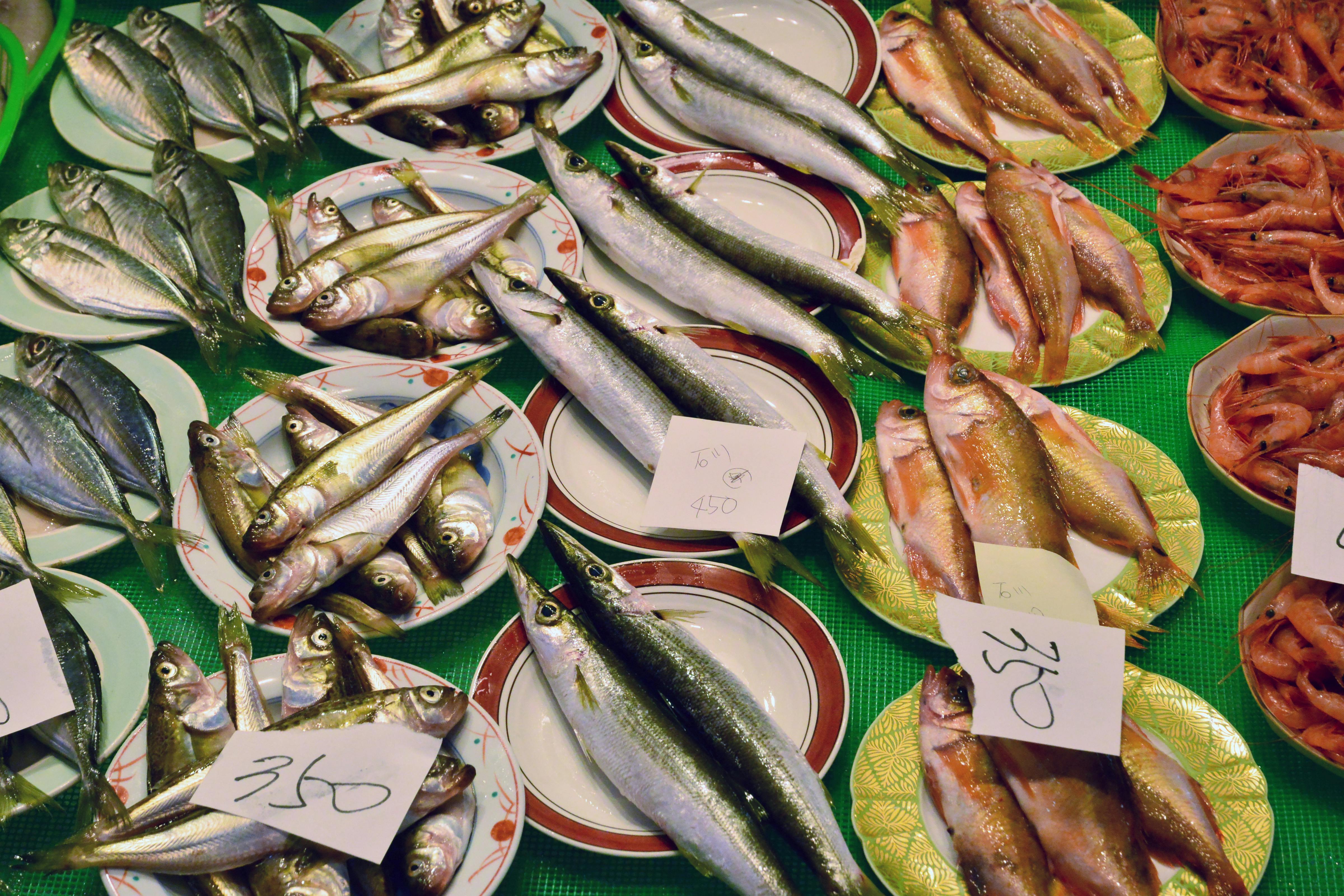 Plates of various fresh fish and shrimp are displayed on a green surface at a market. Each plate is marked with a handwritten price tag. The seafood is arranged neatly in small groups.