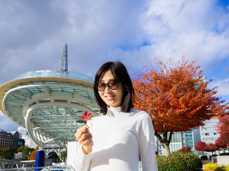 Explore Nagoya: Personalized Half-Day Private Tour