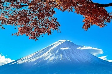 Mt. Fuji and Hakone Tour
