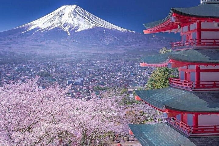 Mt. Fuji and Hakone Tour