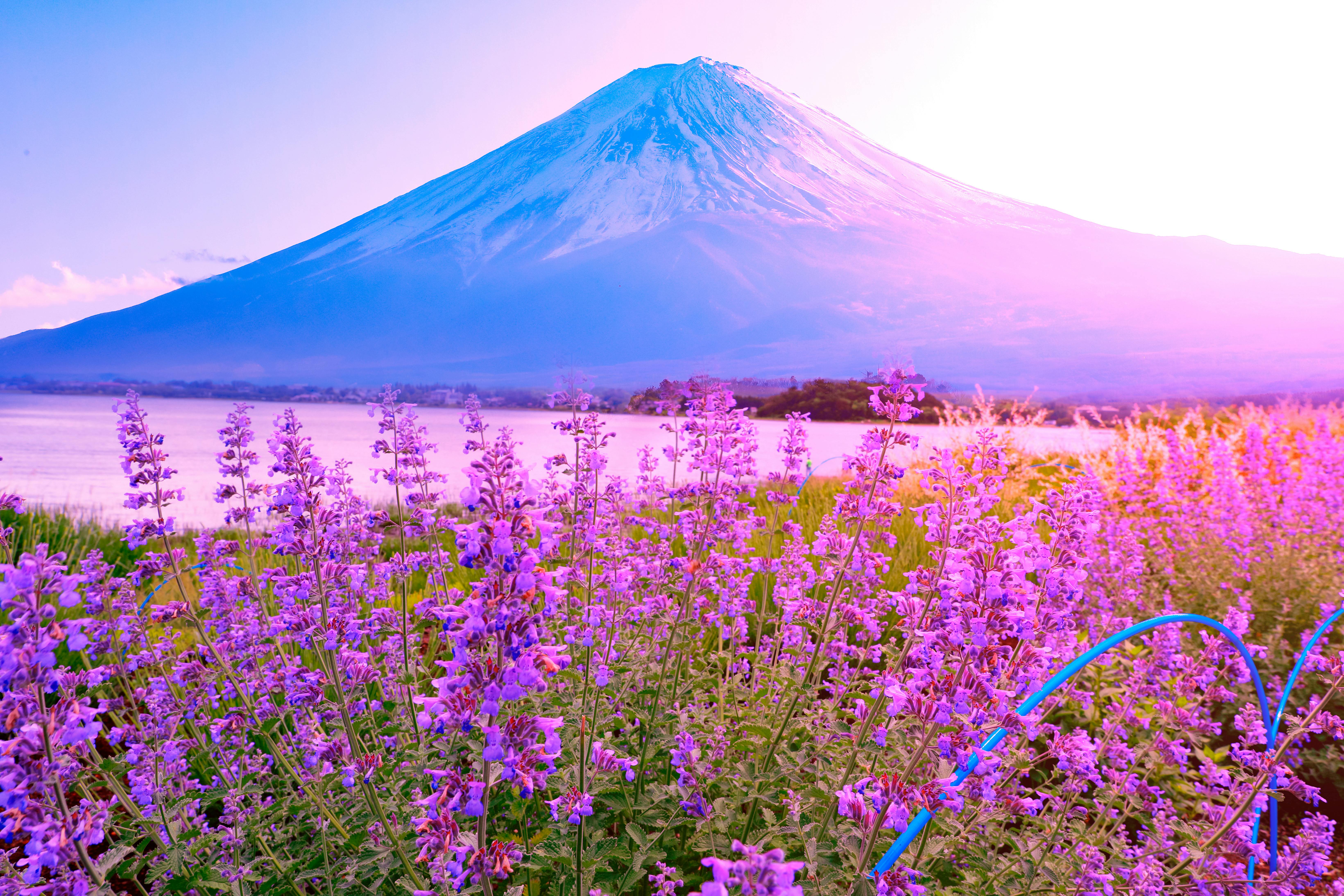 Mt. Fuji & Hakone Full Day Private Tour with Pickup