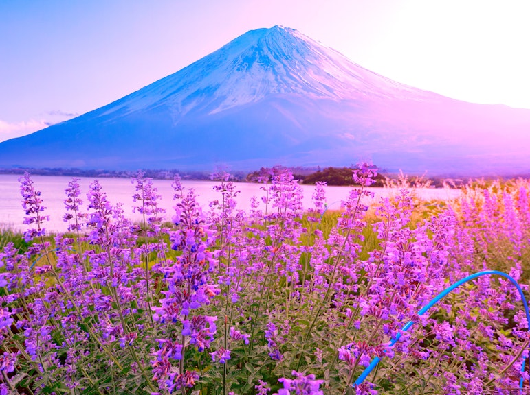 후지산 & 하코네 하루 종일 개인 투어 (픽업 포함)