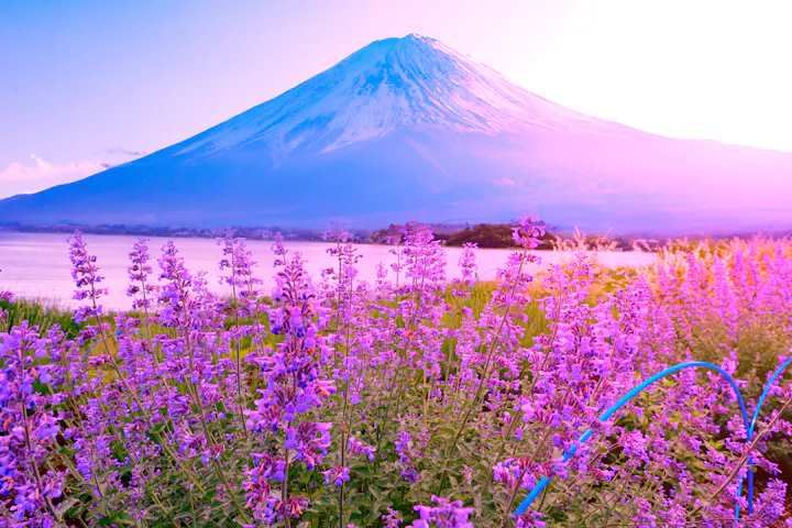 Fujikawaguchiko overview