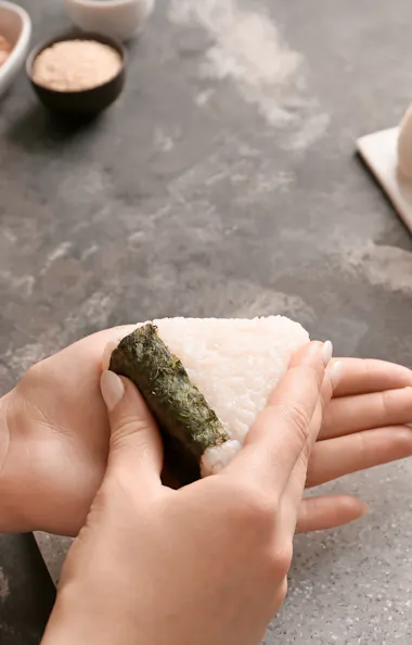 Rice Balls Rice Balls