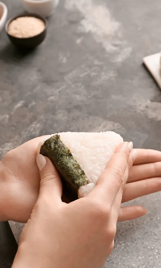 Rice Balls Rice Balls