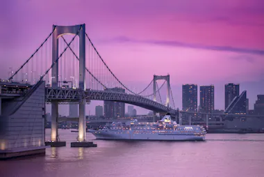 Tokyo Night Cruise