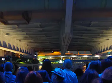 Tokyo Night Cruise